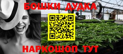 гидра Кандалакша