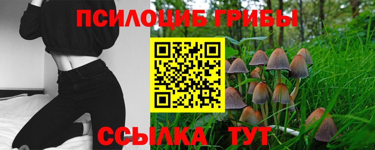 Псилоцибиновые грибы Cubensis  Вход с VPN  Благовещенск 