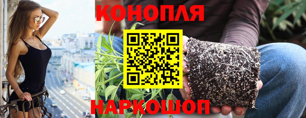 Марихуана VHQ Благовещенск